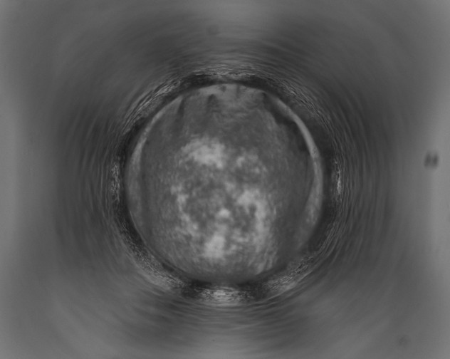 X0000088870506200706291543