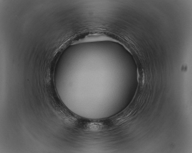 X0000088870508200706291543