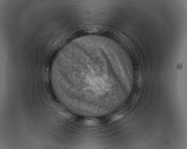 X0000088870510200706291543