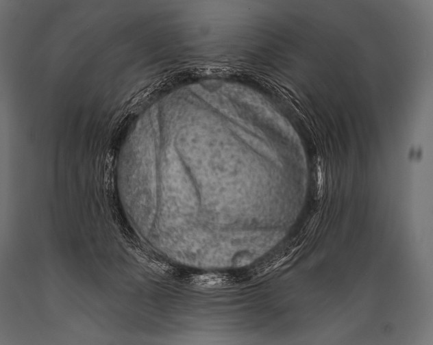 X0000088870511200706291543