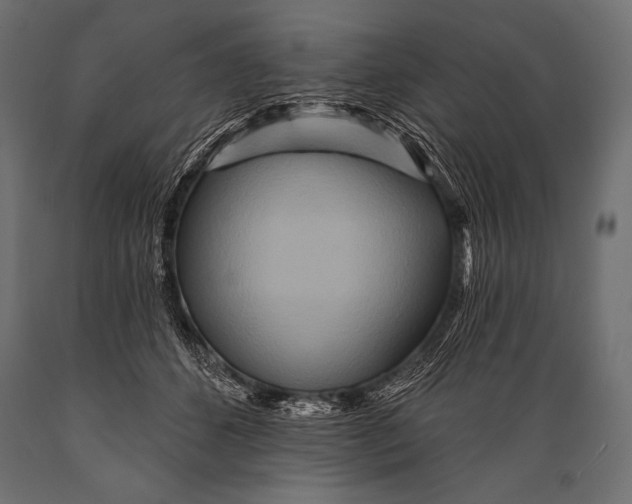 X0000088870512200706291543