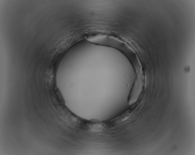X0000088870513200706291543