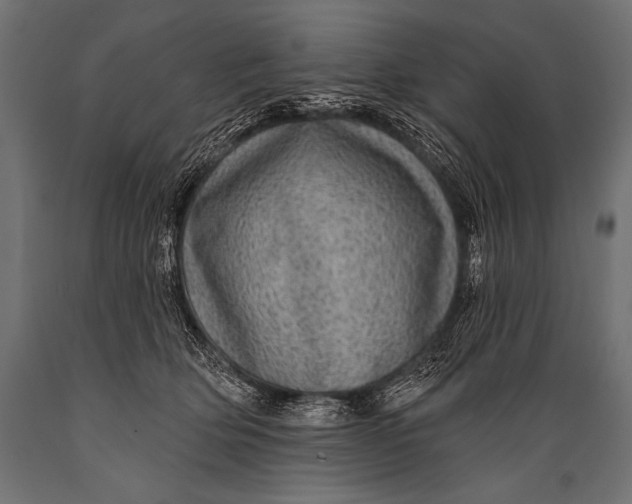 X0000088870514200706291543