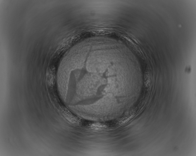 X0000088870515200706291543