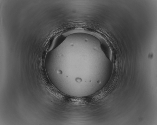 X0000088870516200706291543