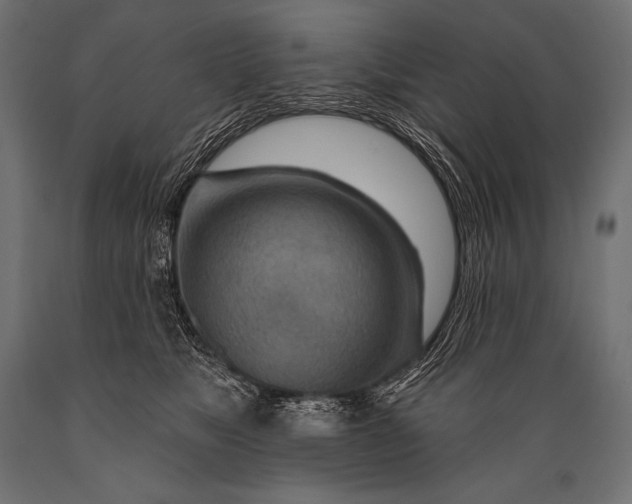X0000088870517200706291543
