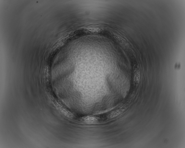 X0000088870518200706291543