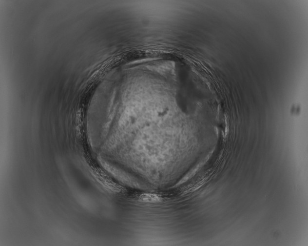 X0000088870519200706291543