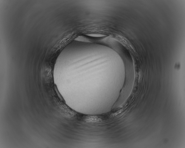 X0000088870521200706291543