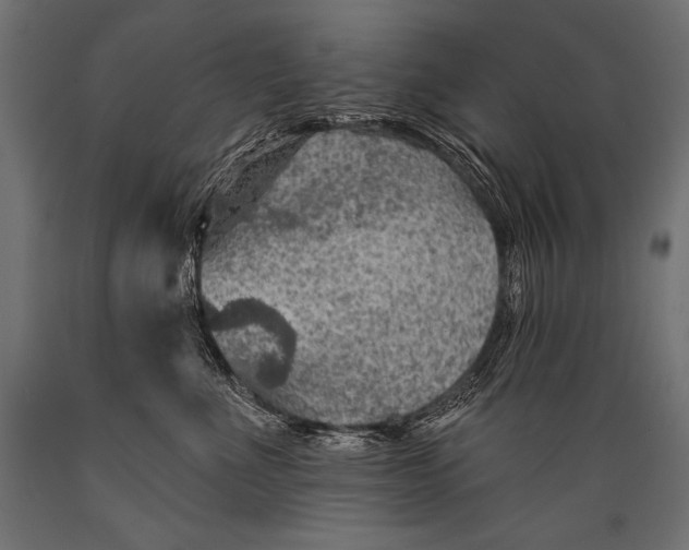 X0000088870523200706291543
