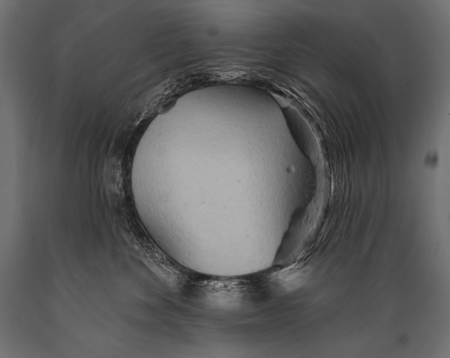 X0000088870524200706291543