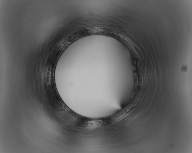 X0000088870525200706291543