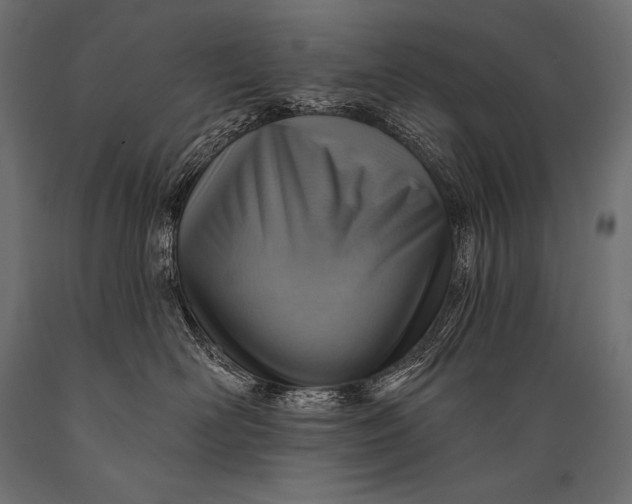 X0000088870526200706291543