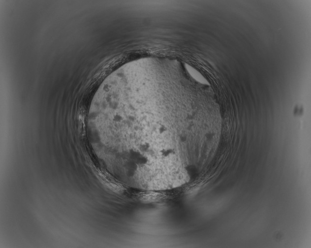 X0000088870527200706291543