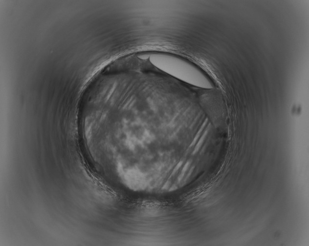 X0000088870531200706291542