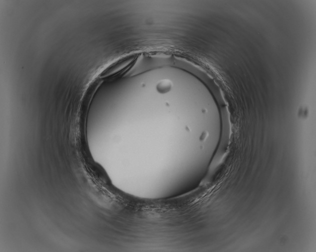 X0000088870532200706291542