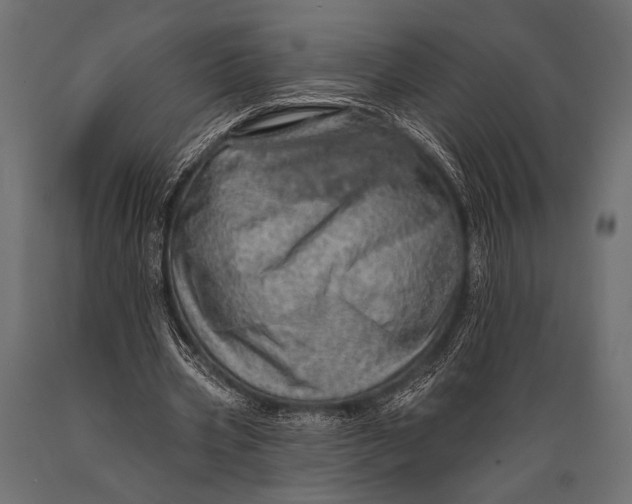 X0000088870533200706291542