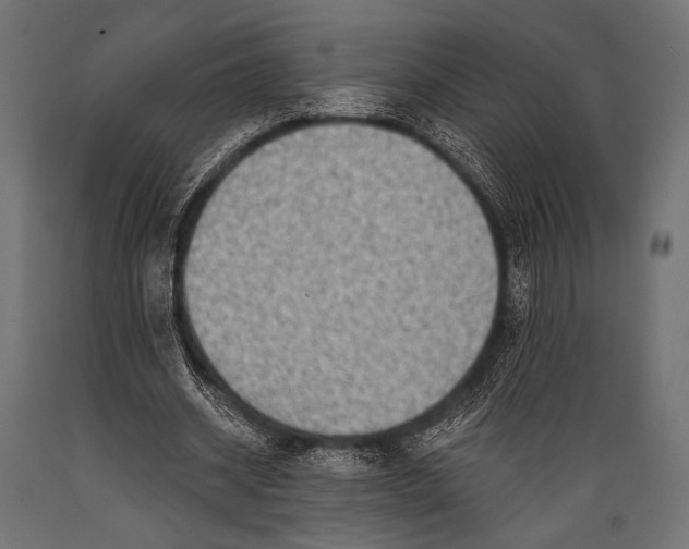 X0000088870534200706291542