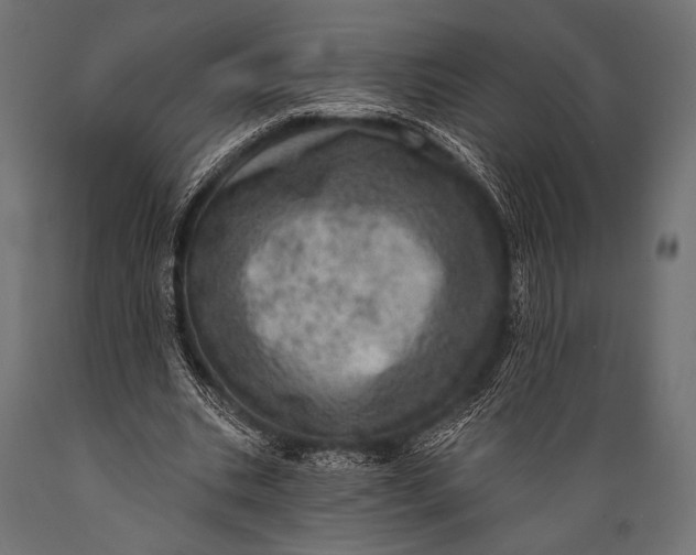 X0000088870535200706291542