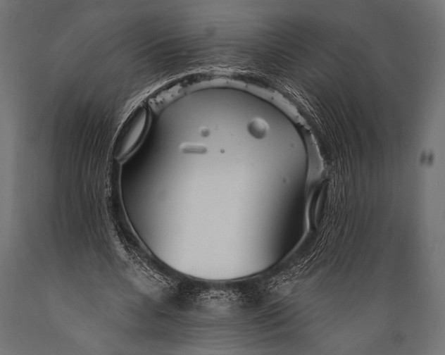 X0000088870536200706291543
