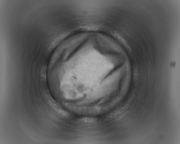 X0000088870537200706291543