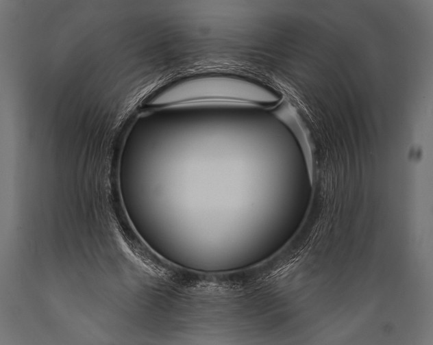 X0000088870538200706291543