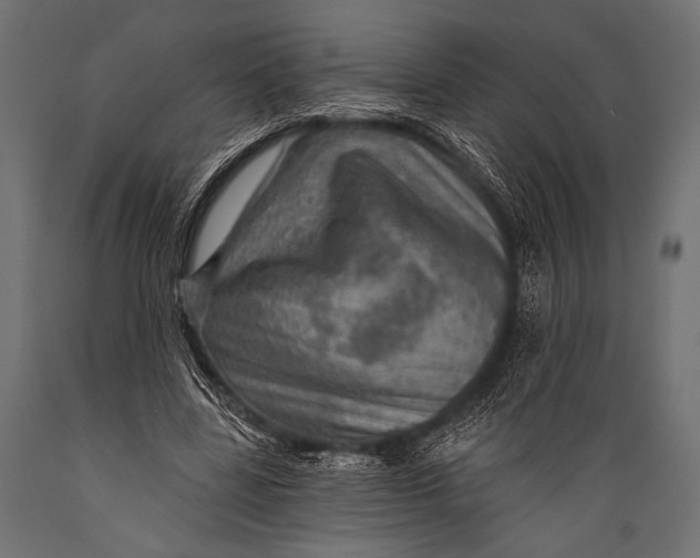 X0000088870539200706291543