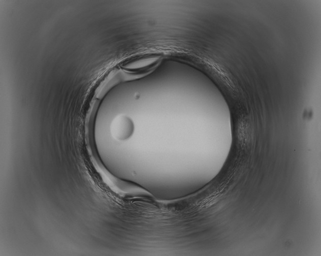 X0000088870540200706291543
