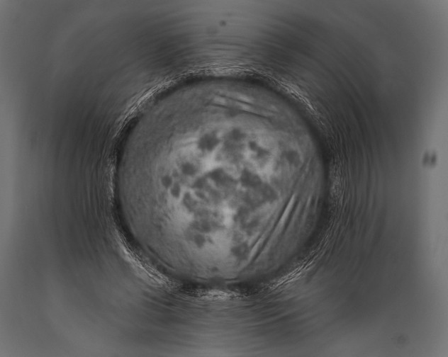 X0000088870542200706291543