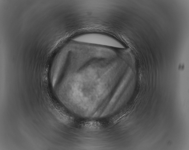 X0000088870543200706291543