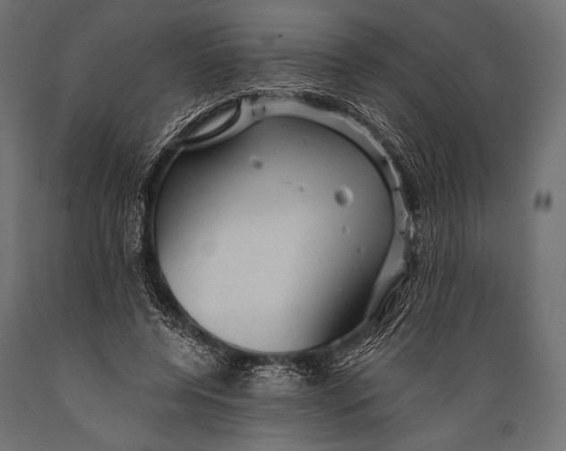 X0000088870544200706291543