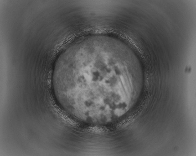 X0000088870545200706291543