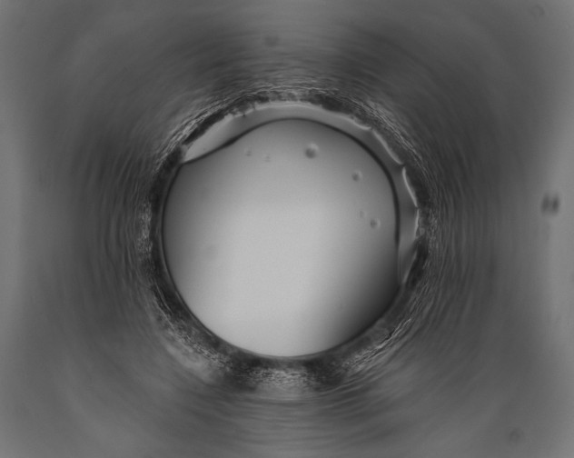 X0000088870548200706291543