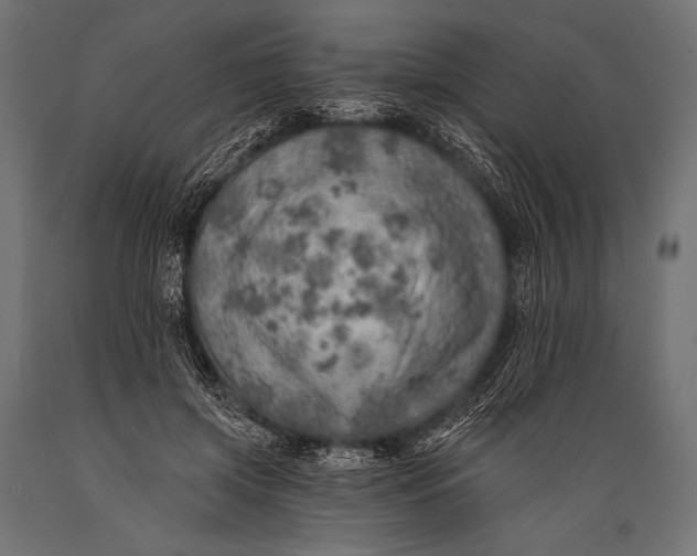 X0000088870549200706291543