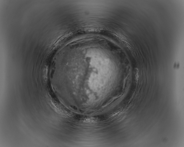 X0000088870550200706291543