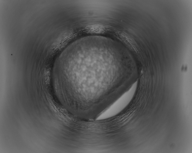 X0000088870551200706291543