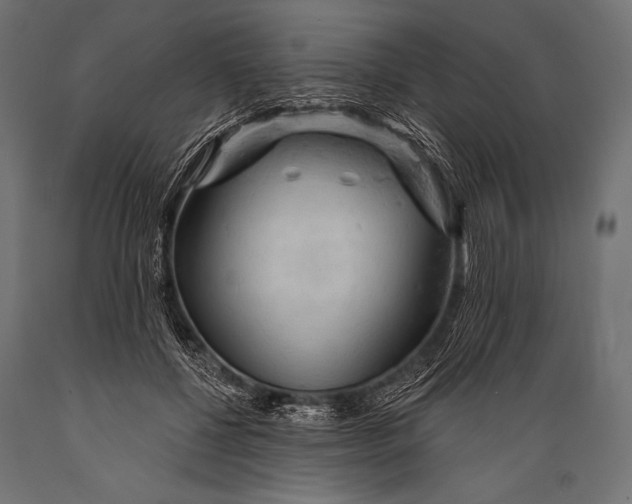 X0000088870552200706291543