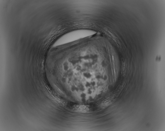 X0000088870553200706291543