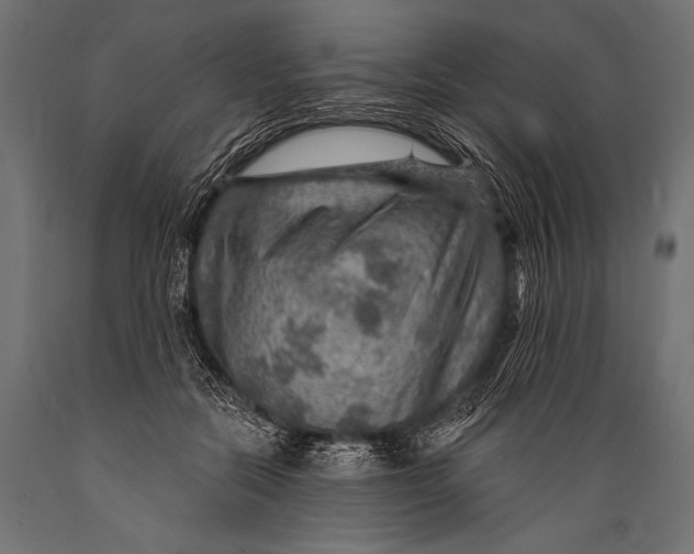 X0000088870554200706291543