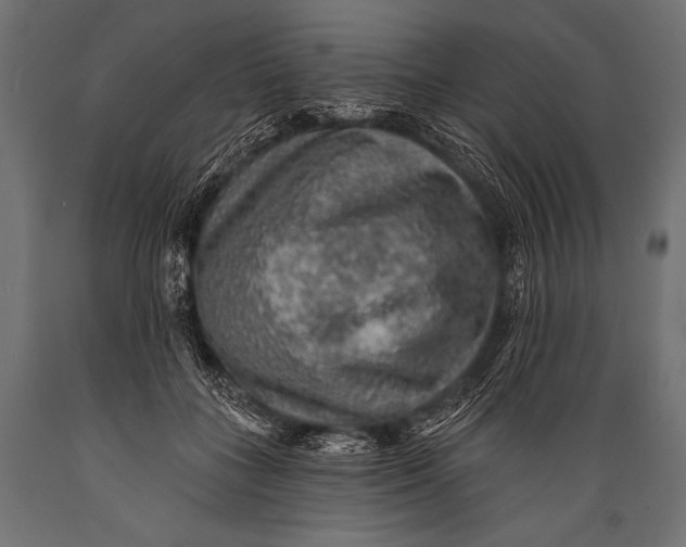 X0000088870555200706291543