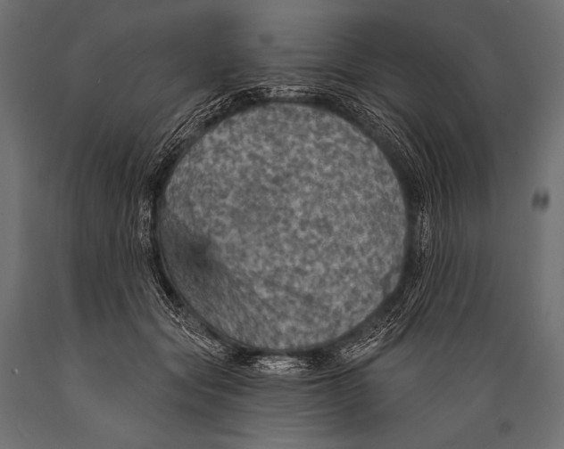 X0000088870557200706291543