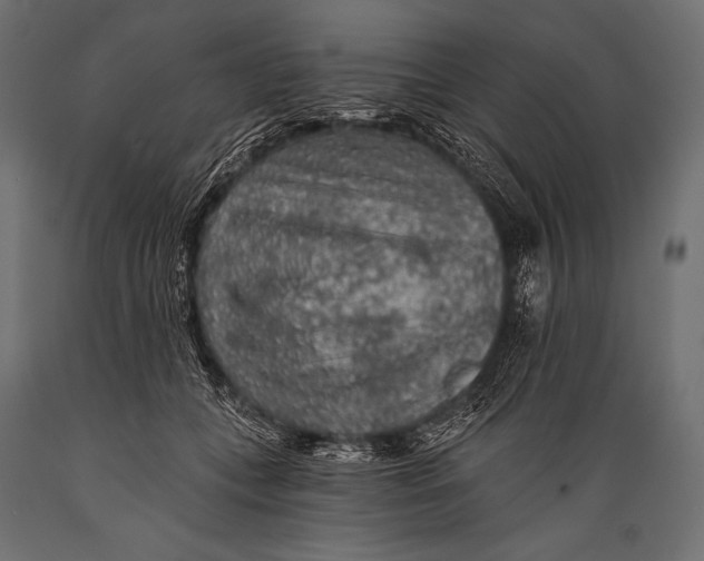 X0000088870559200706291543