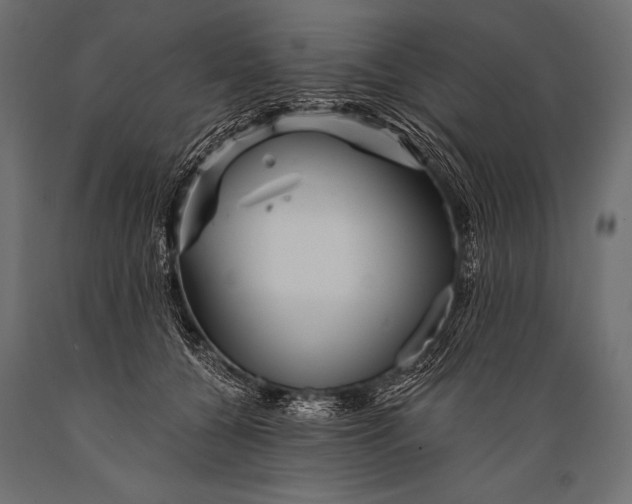 X0000088870560200706291543