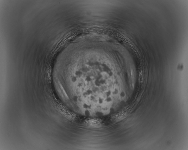 X0000088870561200706291543