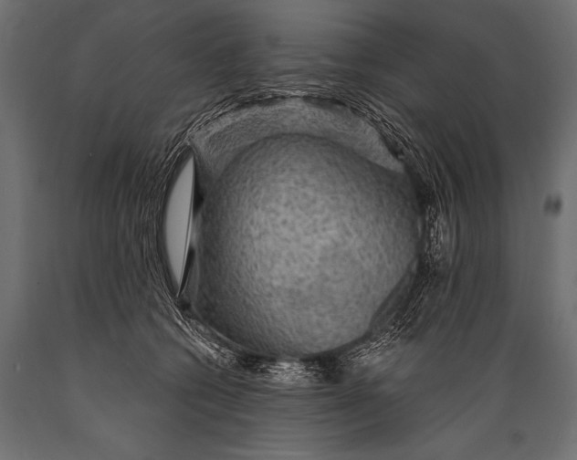 X0000088870562200706291543