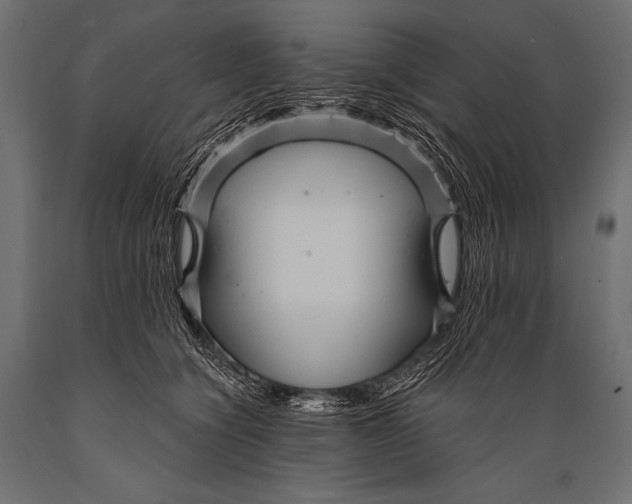 X0000088870564200706291543