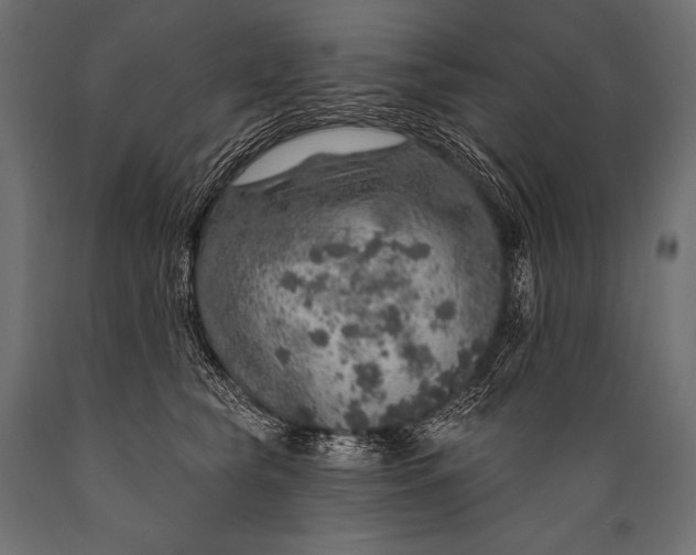 X0000088870565200706291543