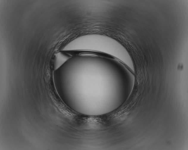 X0000088870566200706291543