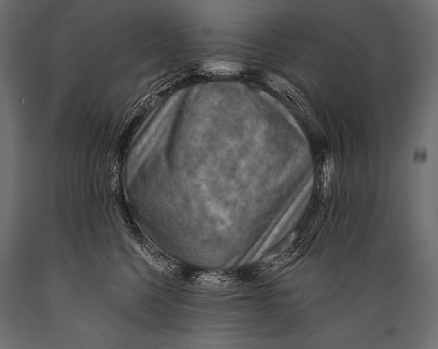 X0000088870568200706291543
