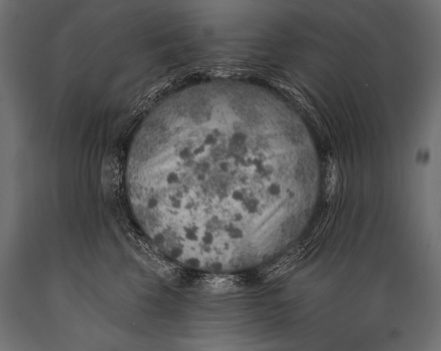 X0000088870569200706291543